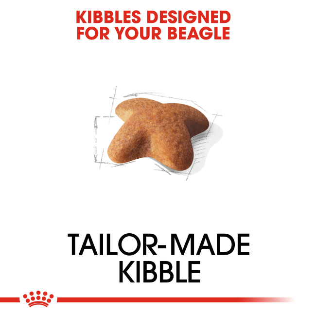 kibble shape & size