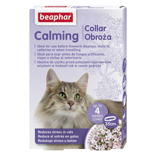 box of 1 collar