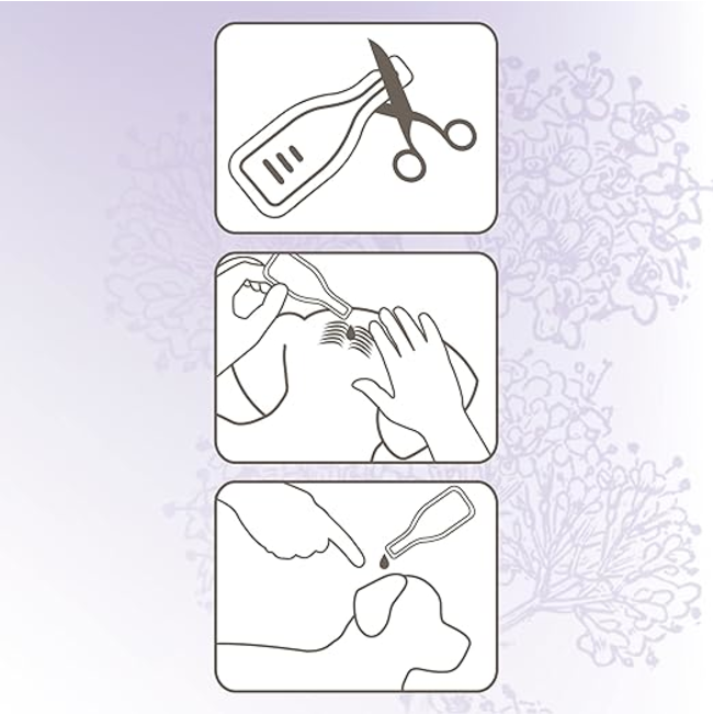 illustrations directing the application process