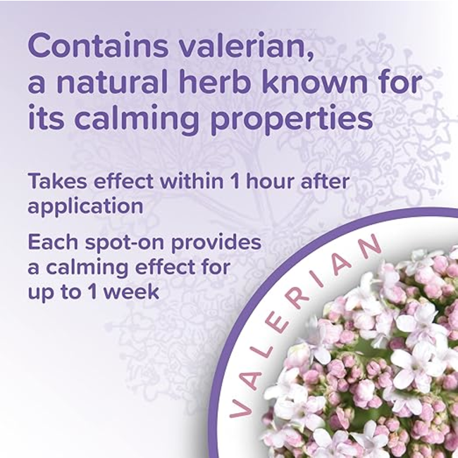 valerian info