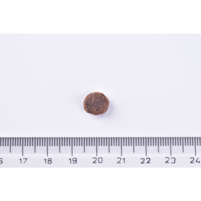 Photo of the brit adult chicken kibble next to a ruler