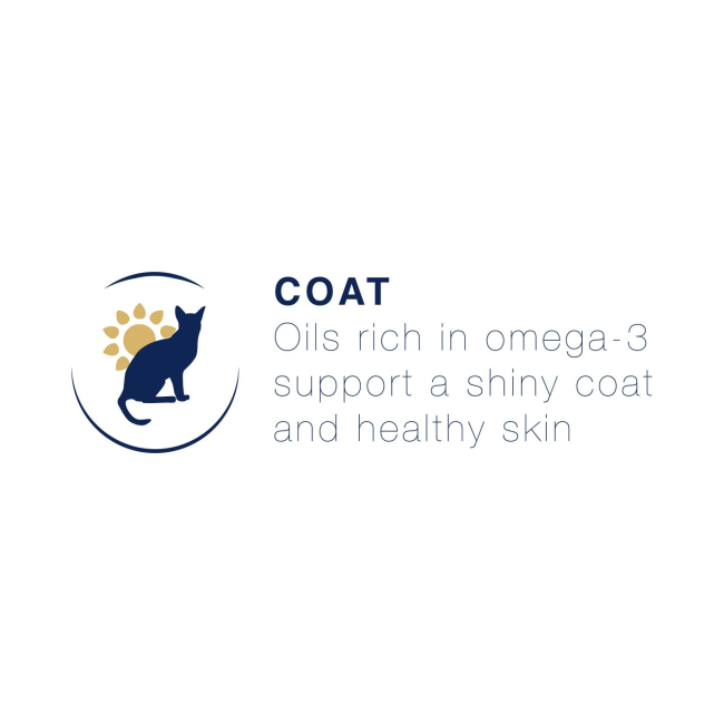 Blue Cat Coat benefit with image of the sun behind