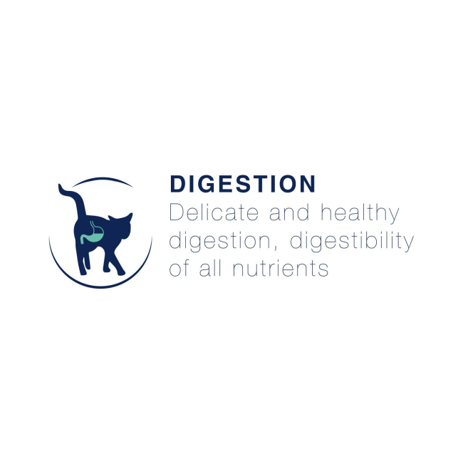 Blue Cat with healthy turquoise coloured digestion image