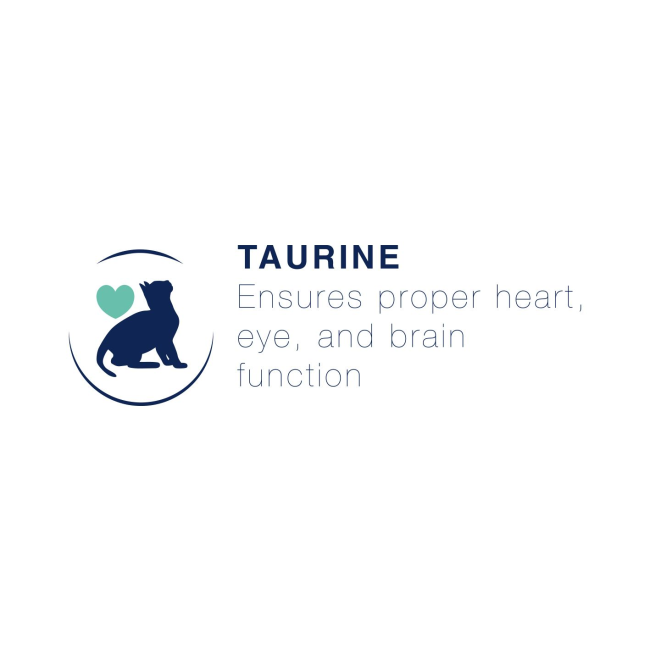 Blue coloured cat with turquoise heart taurine benefit image