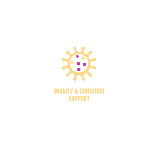 Immunity and condition support benefit image