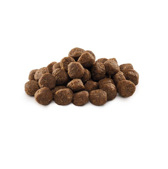 Out of pack Junior Medium Brit Kibbles