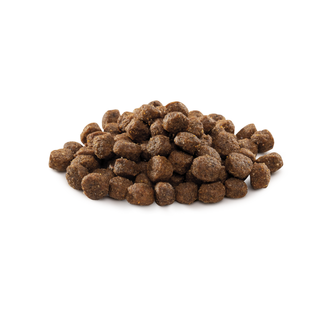 Out of pack Adult Small Kibbles image