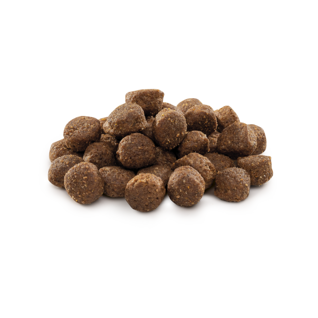 Out of pack brit Premium Dog Dry Food Adult Medium Kibbles