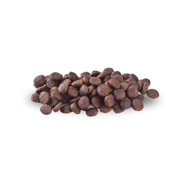 Brit Adult Cat Salmon Kibble