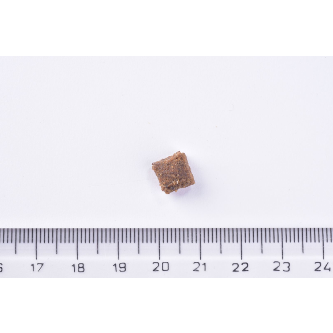 Brit Sensitive Lamb Kibble next to ruler