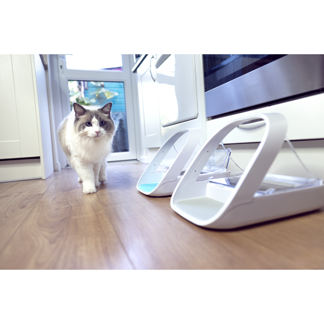 Image of lifestyle Cat next to two pet feeders
