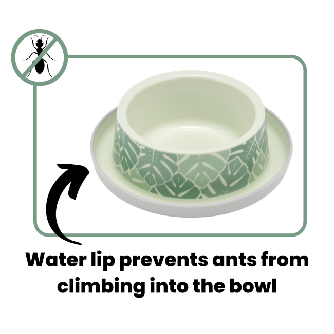 anti-ant info, water lip prevents ants from climbing into bowl