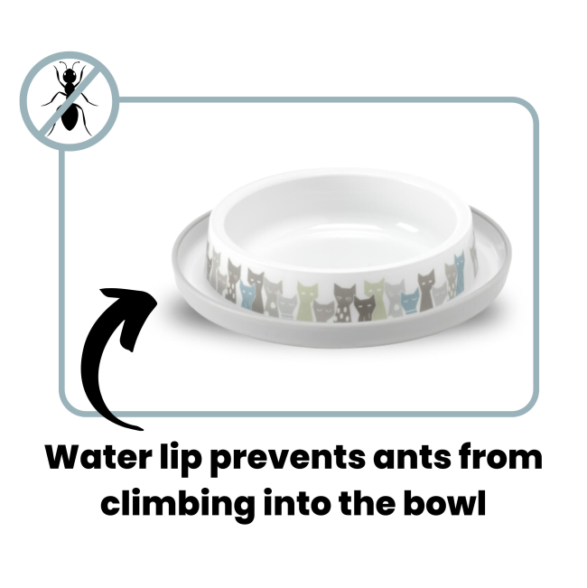 anti-ant info, water lip prevents ants from climbing into bowl