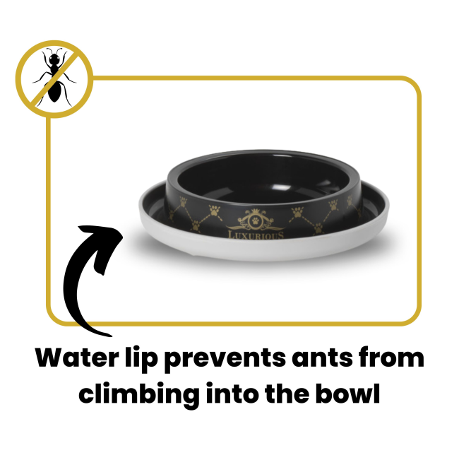 anti-ant info, water lip prevents ants from climbing into bowl