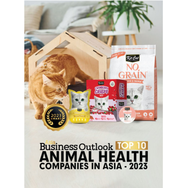 cat with various kit cat products being awarded the animal health award 2023