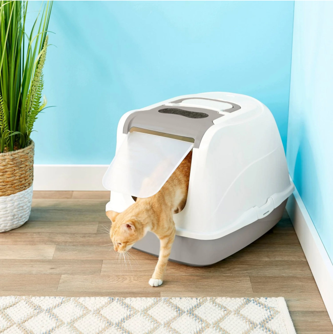 cat walking out of toilet