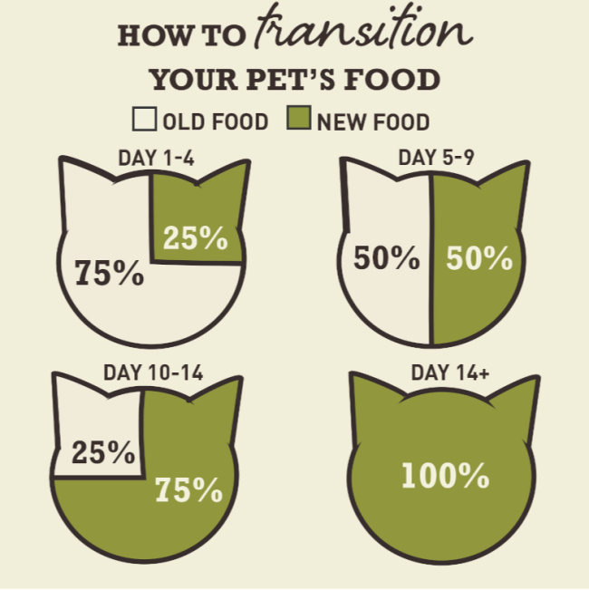 transition guide when changign to Acana food