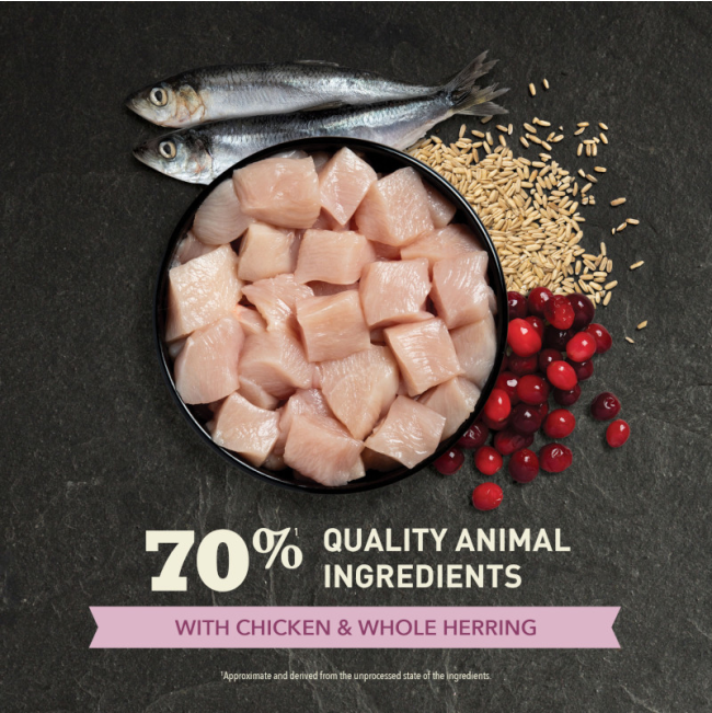 Acana Cat First Feast Kitten Recipe Chicken and Whole Herring