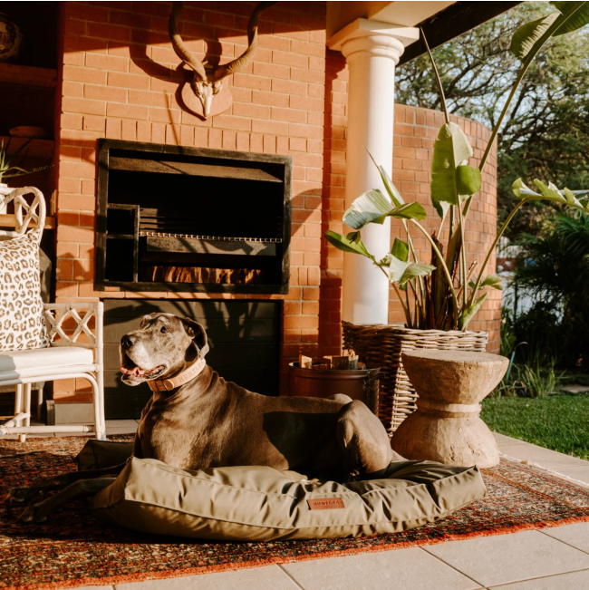 Huntlea Dog Kalahari Orthopaedic Bed lifestyle image of bed and dog outdoors in the sun