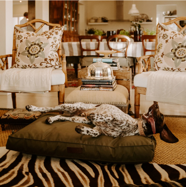 Huntlea Dog Kalahari Orthopaedic Bed lifestyle image with spotted medium breed dog lying on its side