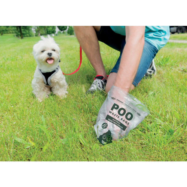 image of dog in park with owner using poo bag to collect waste
