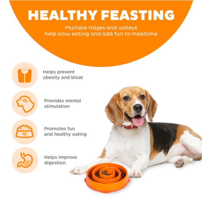 dog with fun feeder and list on left of some slow feeder benefits