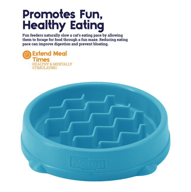 benefits with blue feeder