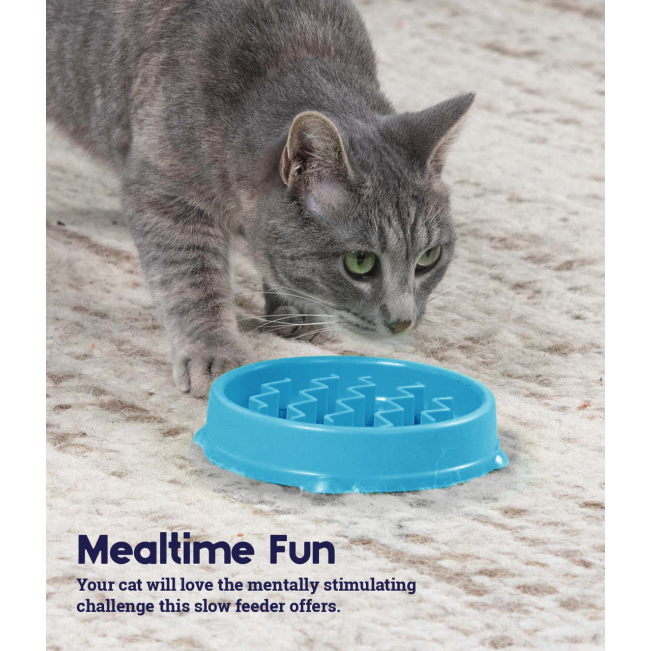 cat eating from blue feeder