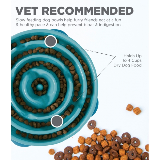 vet recommended and features large
