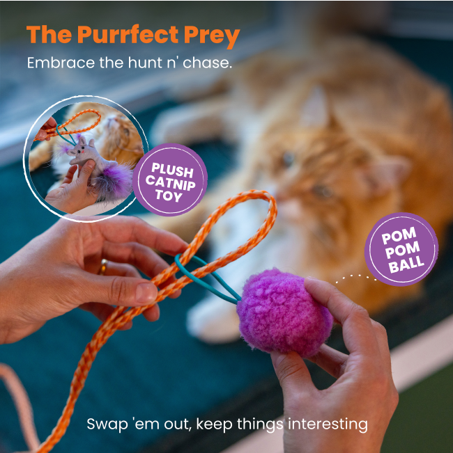 catnip & pom pom ball features on wand