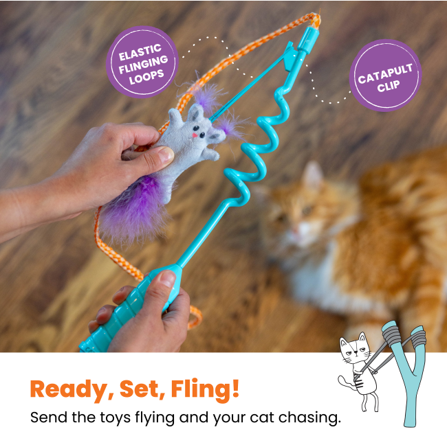 wand features of elastic loop & catnip clip