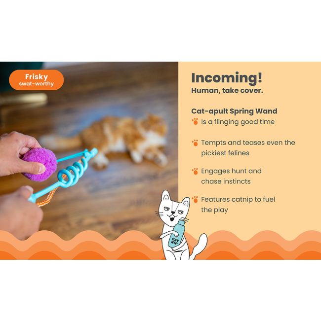 features, directions and fun info