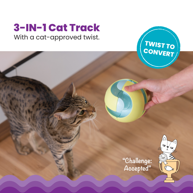convert from standing toy to a ball