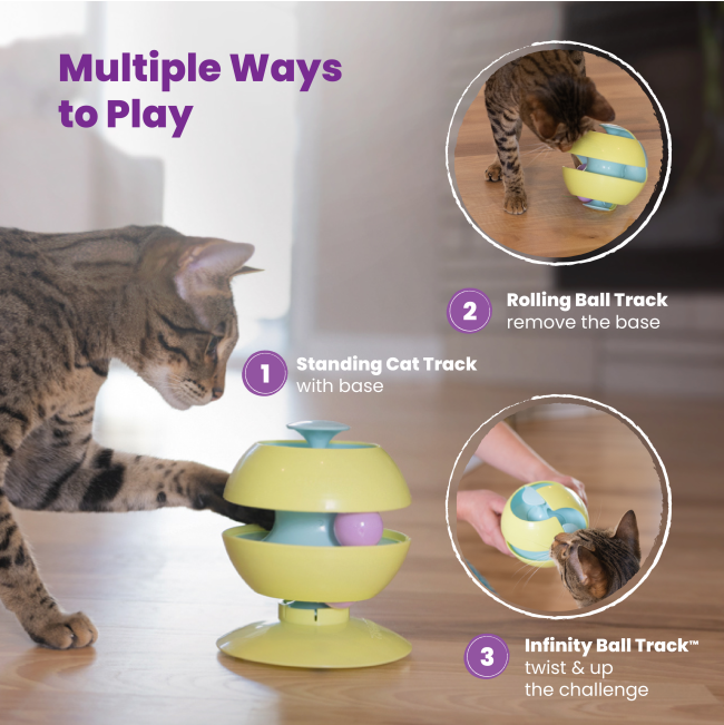 3 ways to play with the puzzle toy