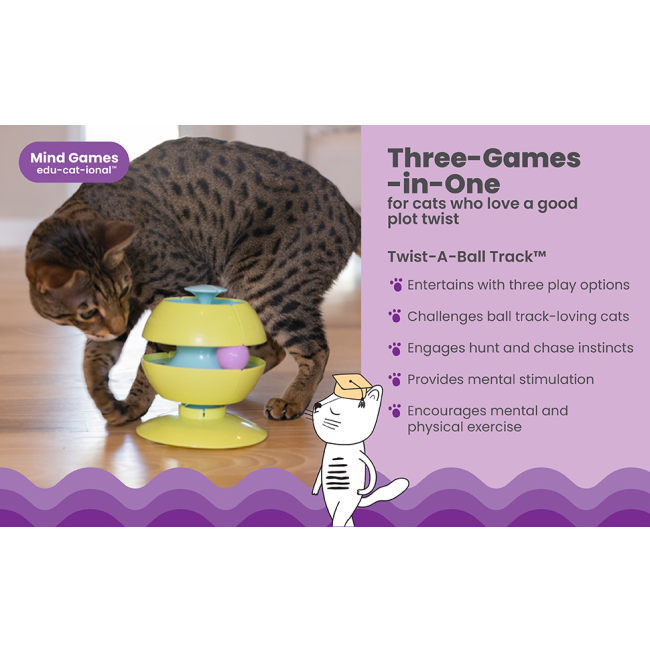 features of the puzzle toy