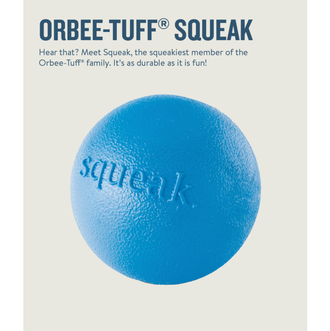 blue squeak ball