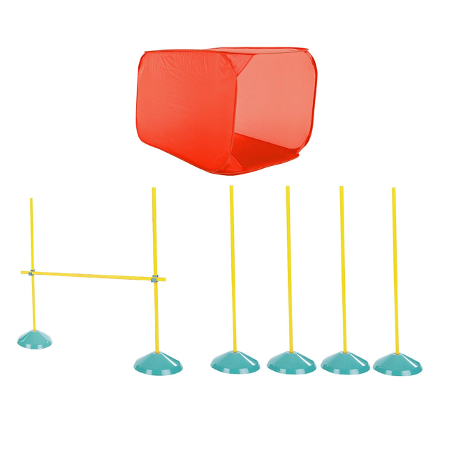 Zip Zoom Indoor Dog Agility Kit