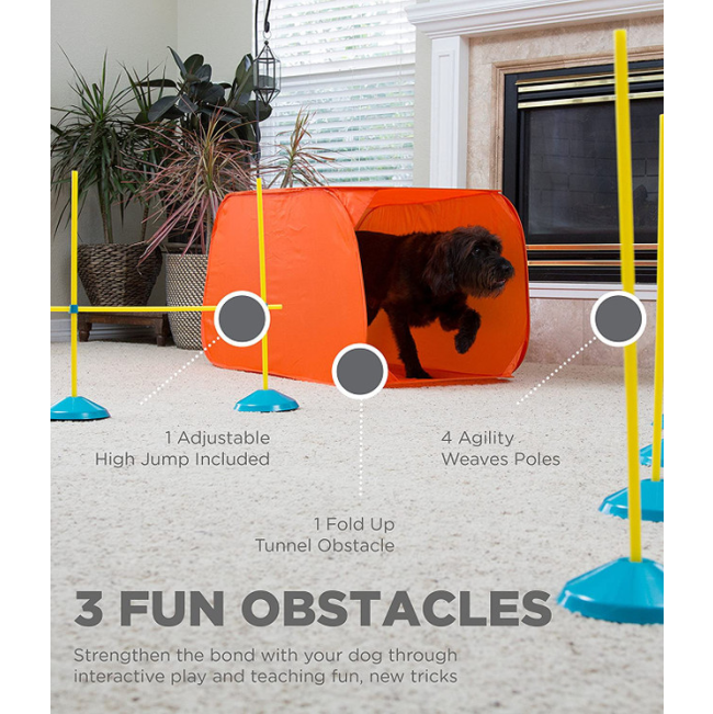 dog using all the equipment that comes with the agility kit