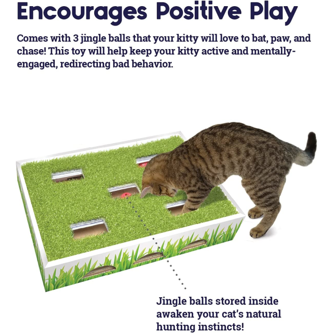 cat playing with the grass patch toy, and info on top about the different ways to play