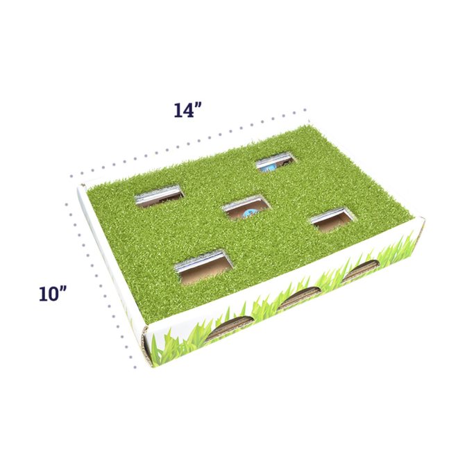 measurements of toy