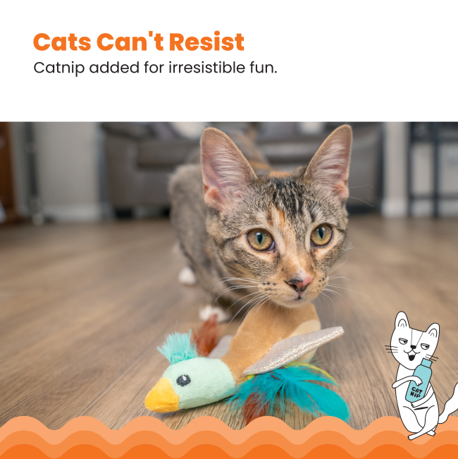 cat playing with toy duck and info about added catnip for extra fun