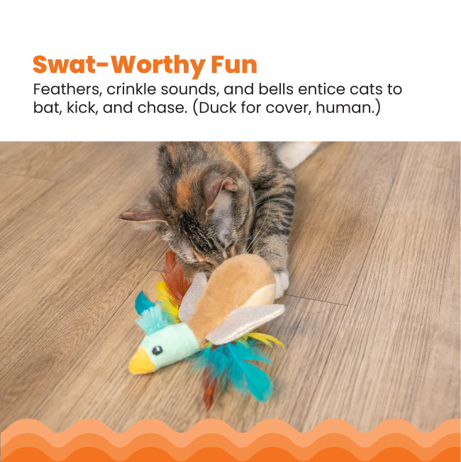 feathers, crinkle sounds and bells info with cat pawing at toy duck