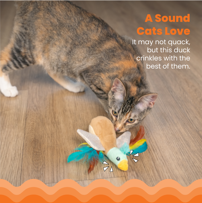 cat sniffing around toy duck with info about the crinkly wings