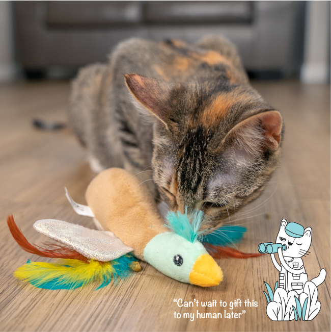 cat playing with flapperz duck toy