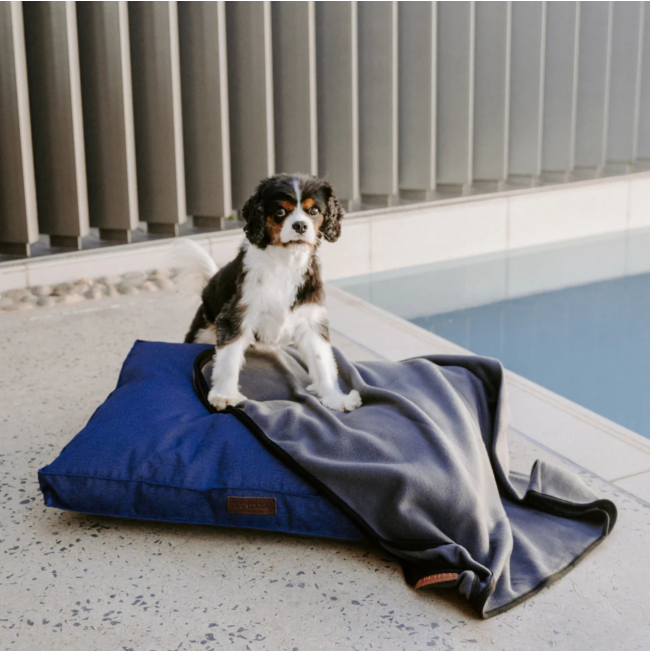 dog sitting on blanket which is on top of a huntlea bed