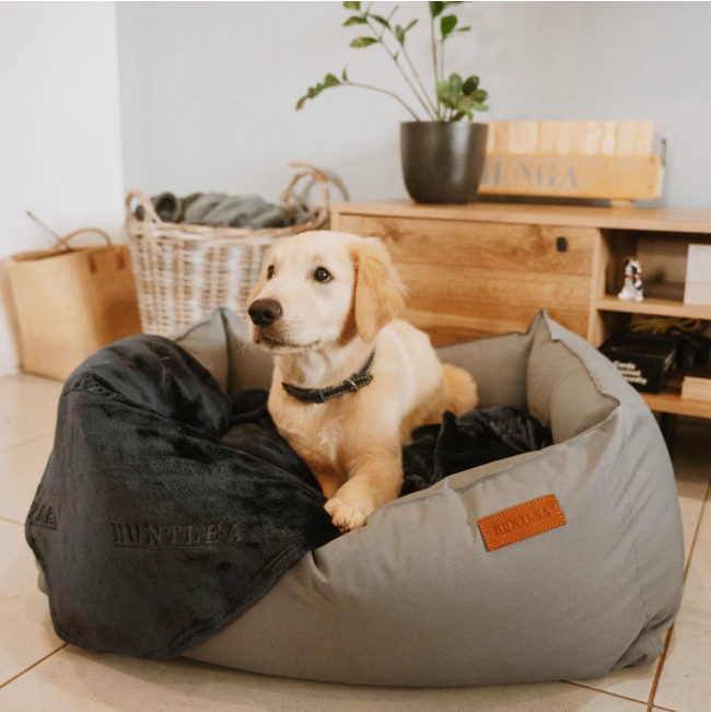 dog laying on blanket which is on a huntlea bed
