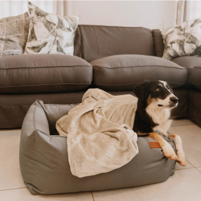 dog laying on huntlea bed with ivory blanket on top of dog