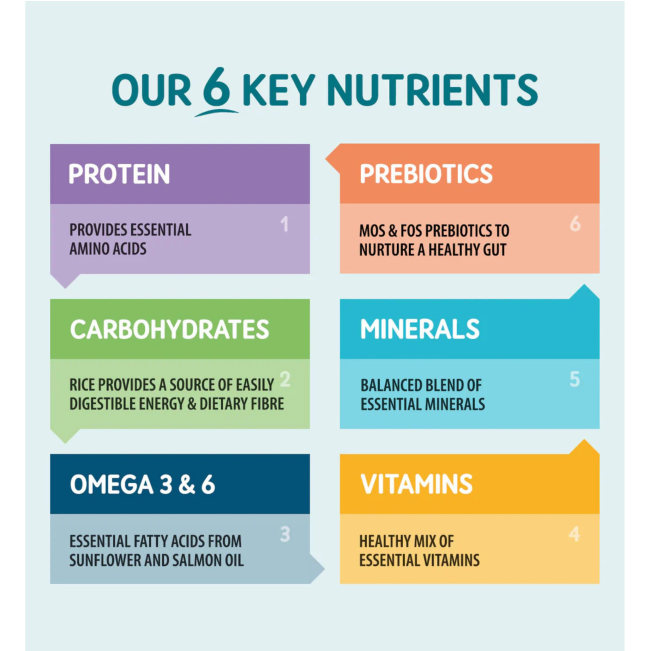 list of 6 nutrients and how they benefit a dogs diet