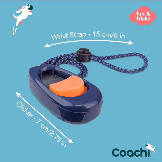 multi-clicker and strap sizing