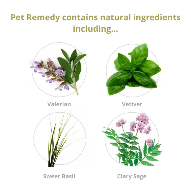 ingredients and their images